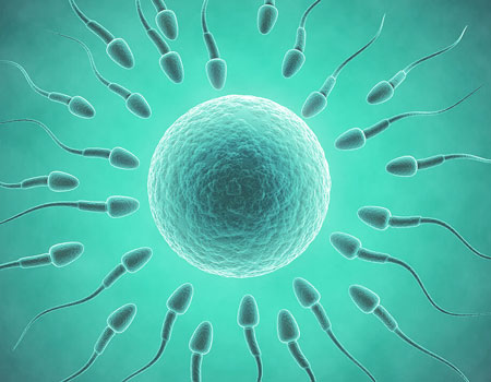 IVF Overview image