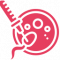 ivf (2) ivf (2)